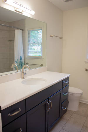 Franklin Tennessee Bathroom Remodel Vanity