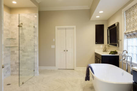 Franklin Tennessee Bathroom Remodel Vanity Shower Tub Lights